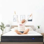 Queen Mattress in a Box - 12 Inch Plush Pillow Top Hybrid Mattress