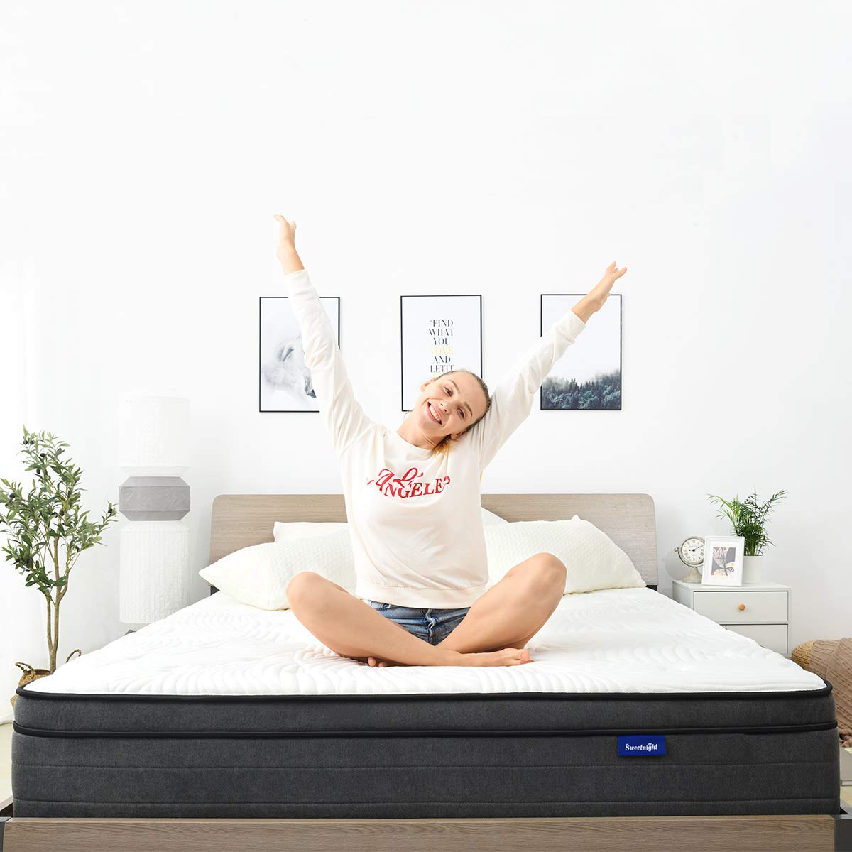 Queen Mattress in a Box - 12 Inch Plush Pillow Top Hybrid Mattress