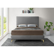 Meridian Furniture Geri Collection Modern | Contemporary Velvet Upholstered Bed with Piping on Headboard and Foorboard in Gold or Chrome Finish, Queen, Grey