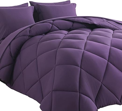Bed in a Bag Queen Reversible Comforter Sets 7pcs All Season Down Alternative