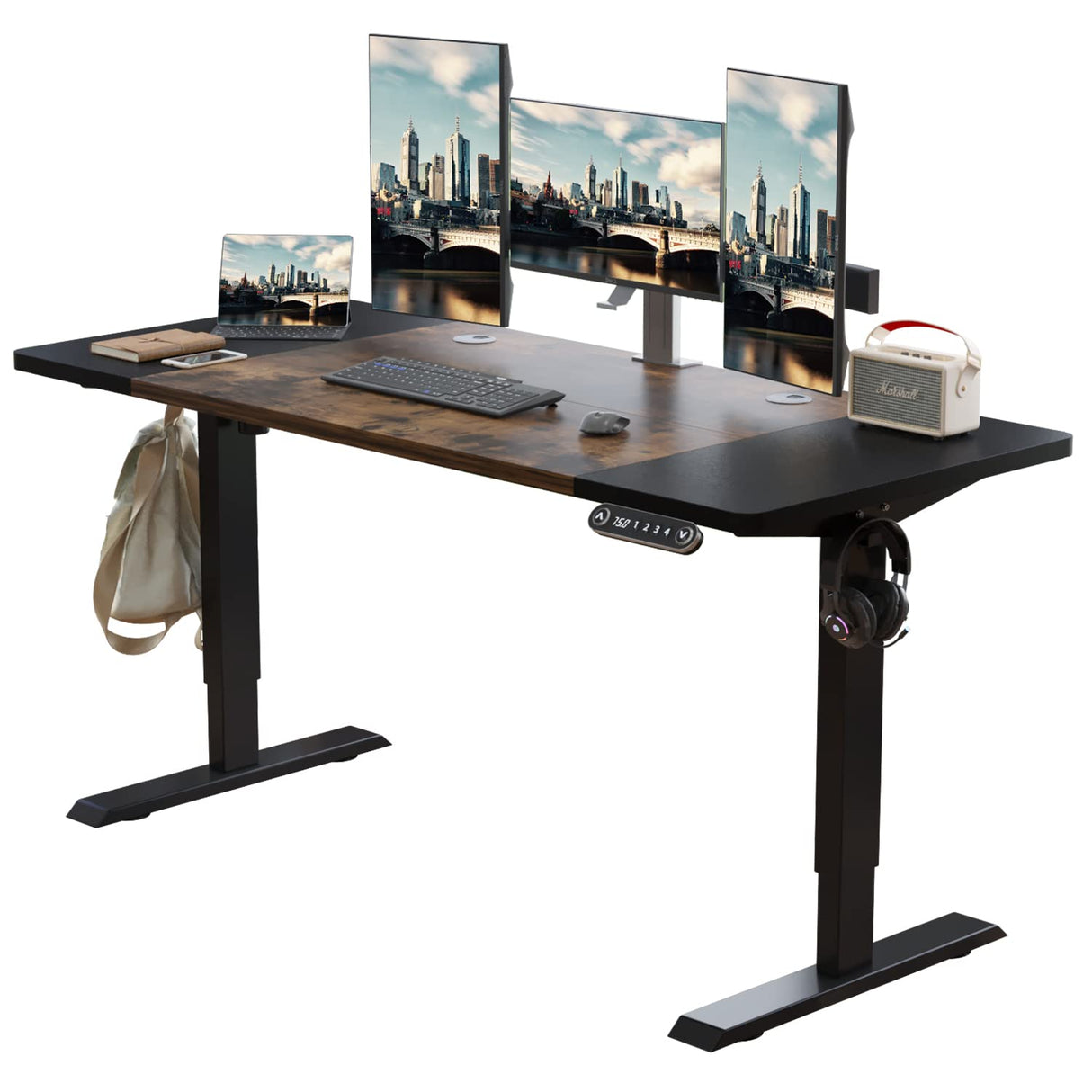 Electric Height Adjustable Standing Desk, 63x 30 Inches Stand Up Desk Workstation