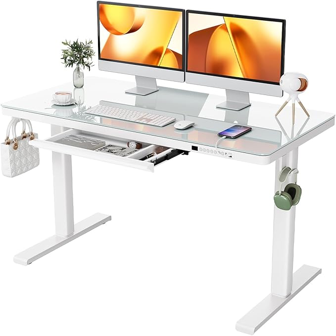 Dual Motor Electric Standing Desk with Drawers,48x24 Inch Whole-Piece Quick Install