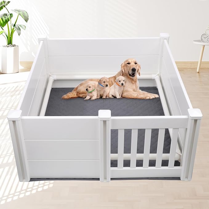 Whelping Box for Dogs - 2 Room Design with Pig Rails