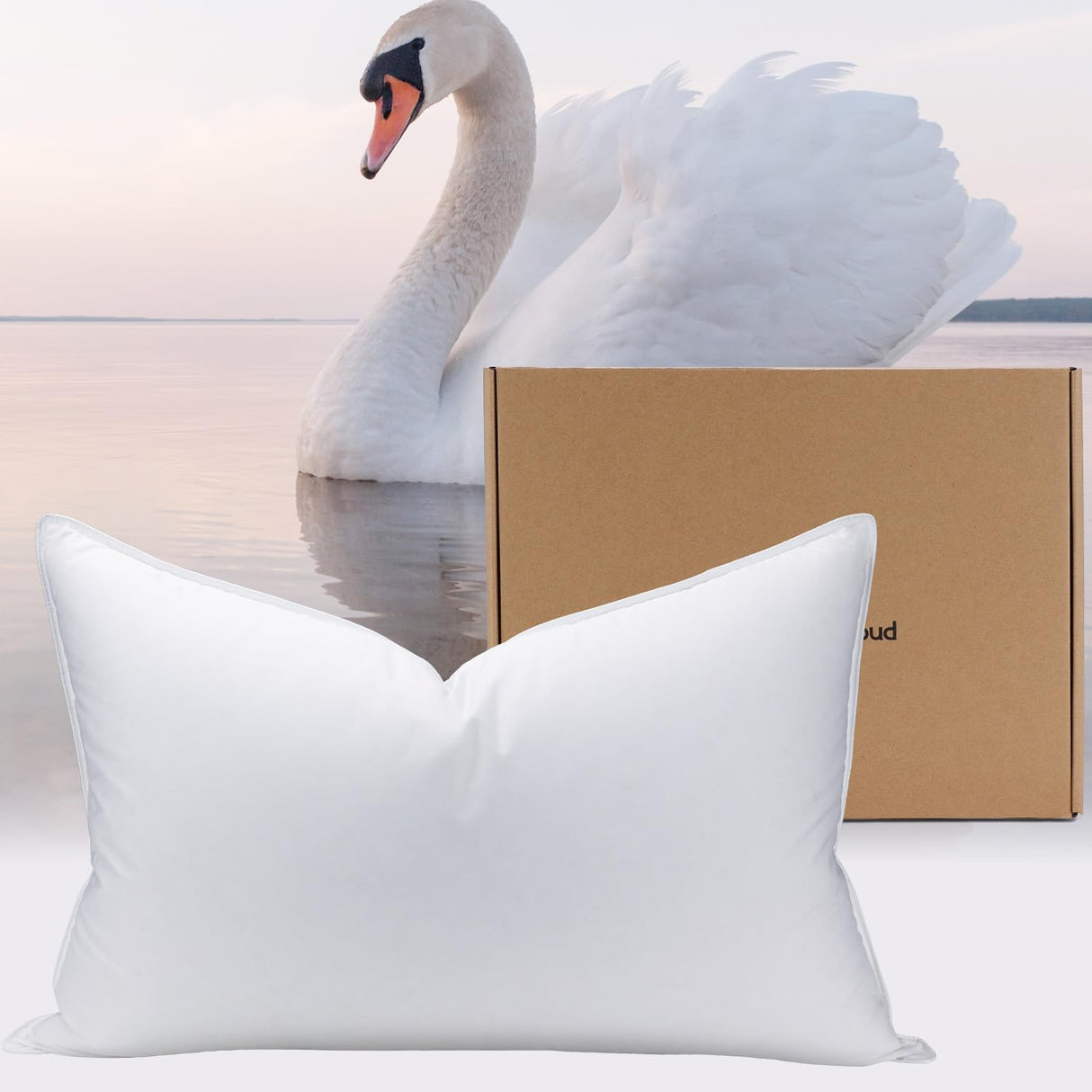 White Goose Down Pillow Luxury Hotel Bed Pillow with 100% Natural 900+Fill Power