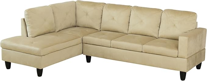 Sectional Couches for Living Room 2-Piece Modern Couch