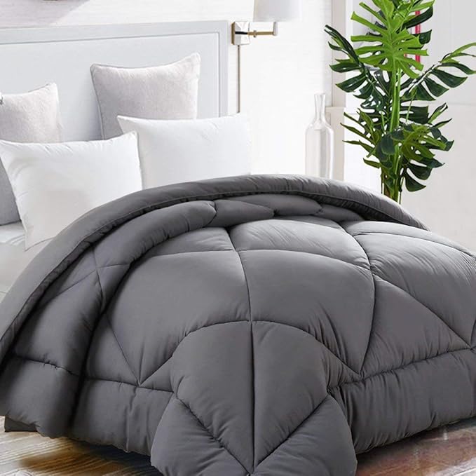 All Season Queen Comforter Winter Warm Summer Soft Quilted Down Alternative Duvet