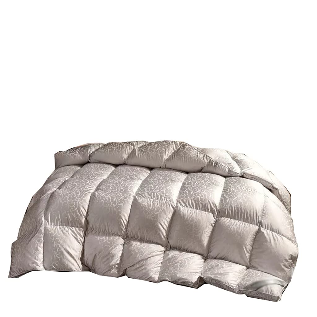 ZUIAI White Duck Down Quilt Down Fluffy Cozy Four Seasons Duvet Brocade Warm Queen King Quilted Comforters(220X240cm 2.75kg)