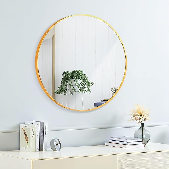 Mirror Rectangle Full Body Length Door Hanging Wall Mounted Metal Frame