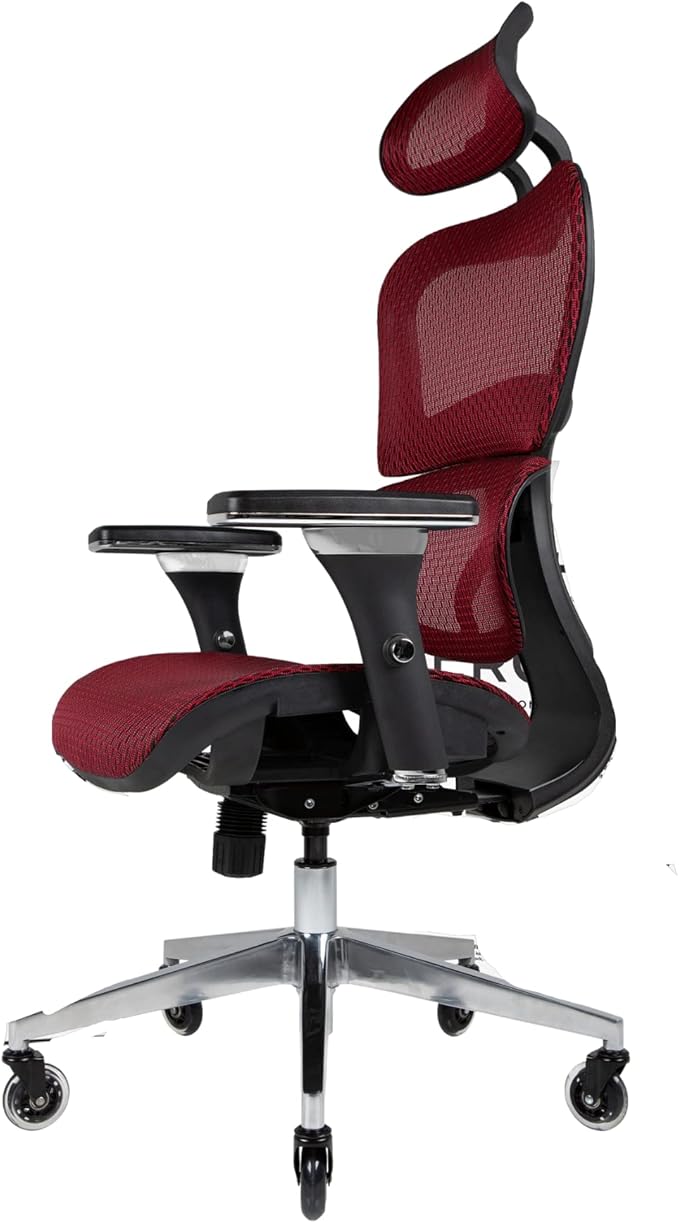 Ergo3D Ergonomic Office Chair Lumbar Support Mesh Office Chair