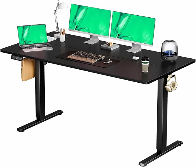 Standing Desk, 48 x 24 in Electric Height Adjustable Computer Desk for Home Office