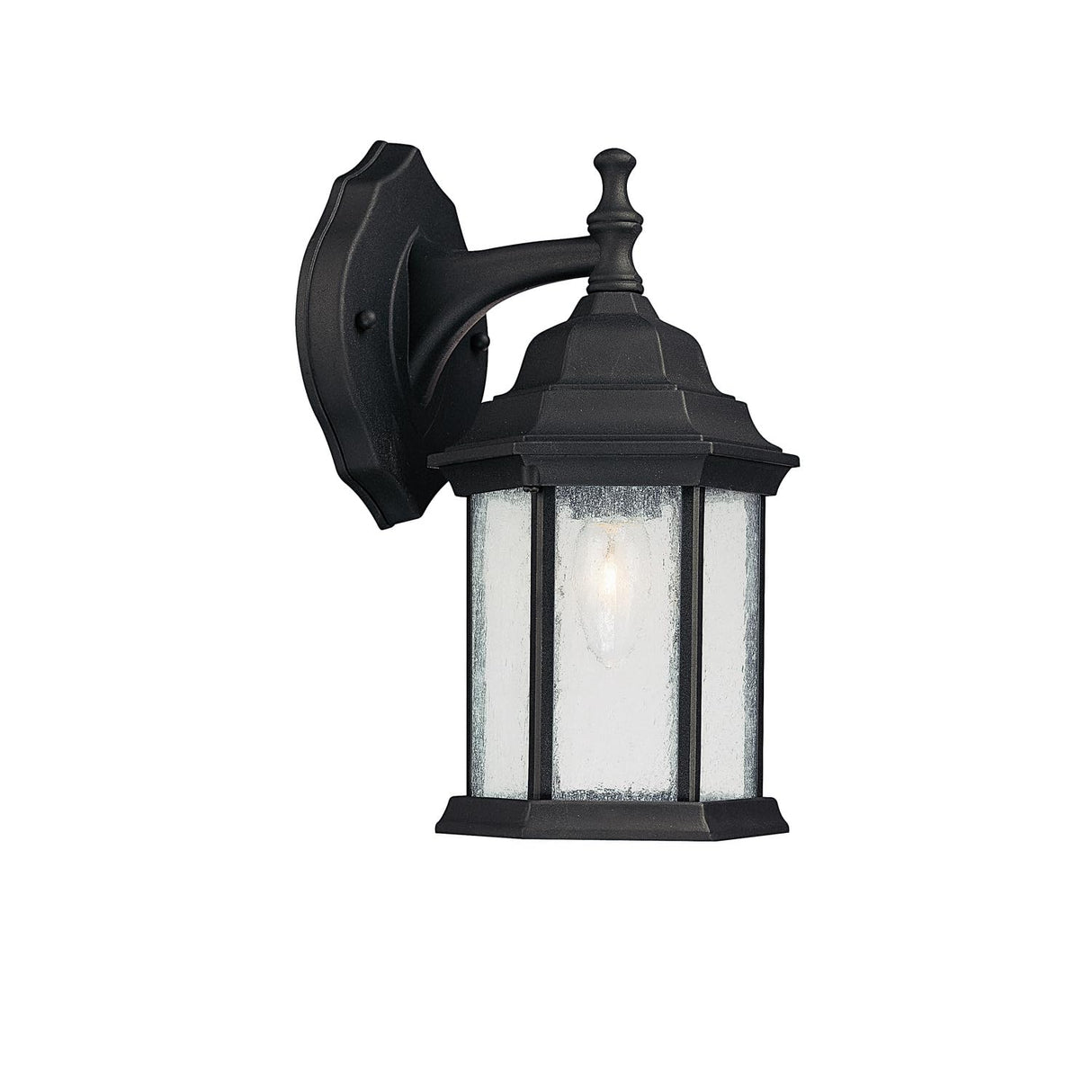 Main Street Seeded Glass Outdoor Wall Sconce, 12" H x 7" W, 1-Light 100 Watts, Black