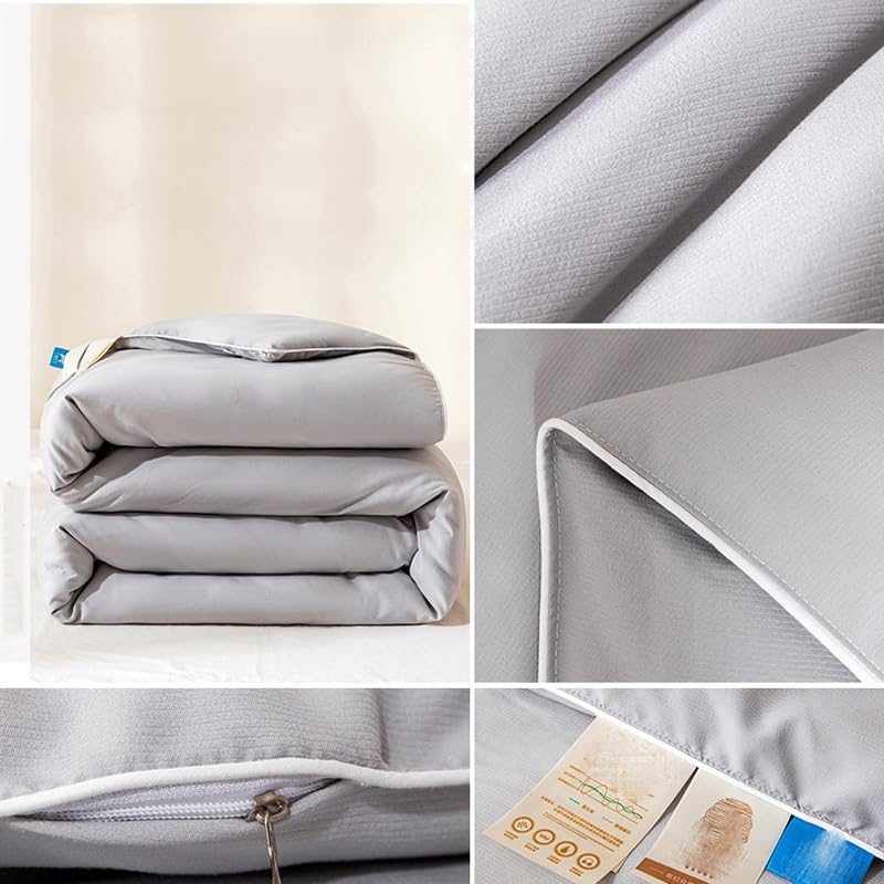 Warm Comforter Comfortable Silk All Quilts with Spring and Autumn Quilt Core Comforter Core(3KG)