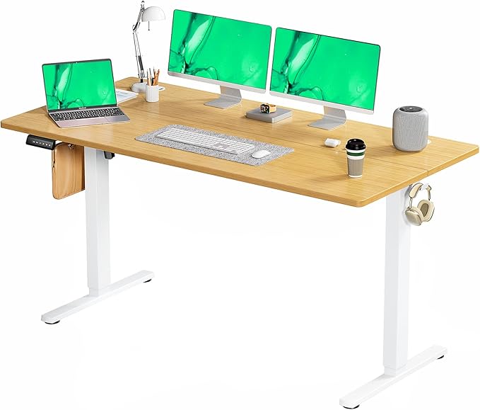 Standing Desk, 48 x 24 in Electric Height Adjustable Computer Desk for Home Office