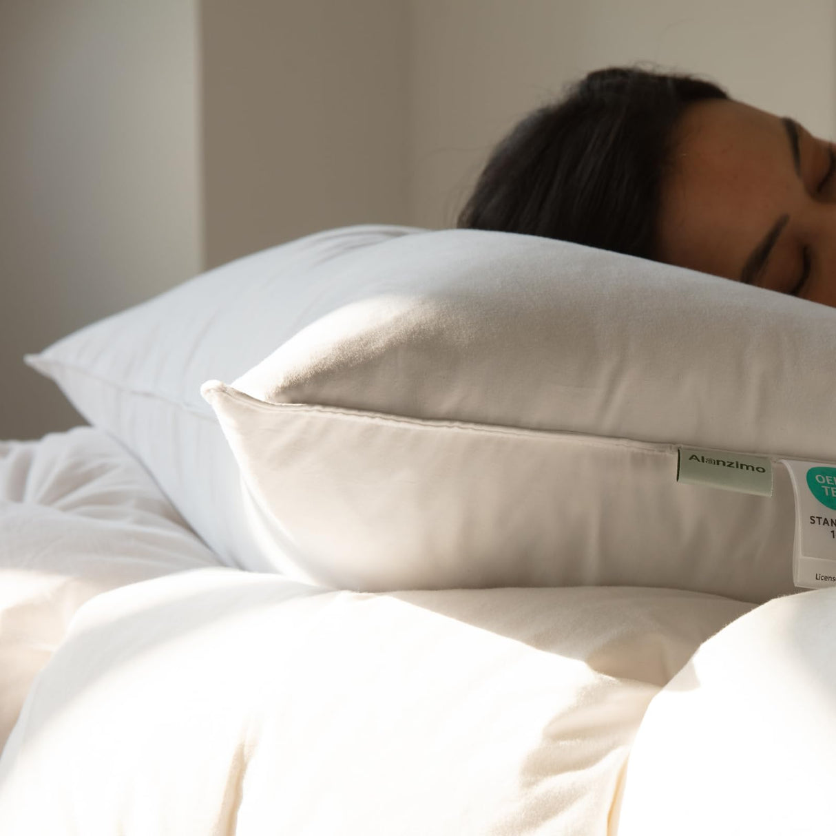 Feather Down Pillows Queen Size Set of 2, Luxury Soft Feather Down Pillow