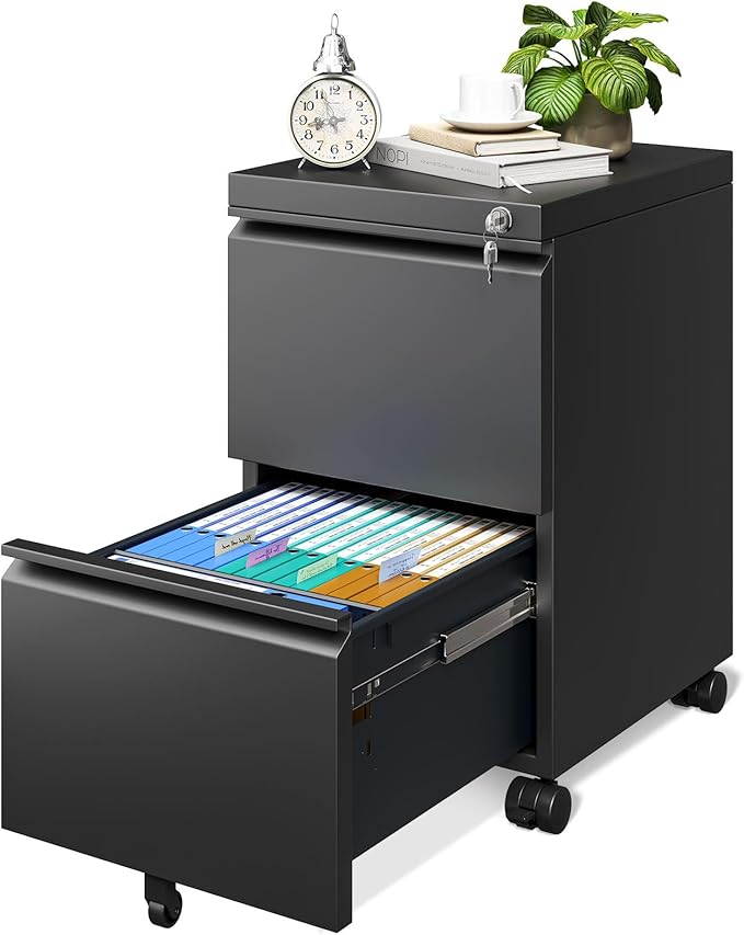 File Cabinet for Home Office, Fully Assembled Filing Cabinet 2 Drawer Rolling File