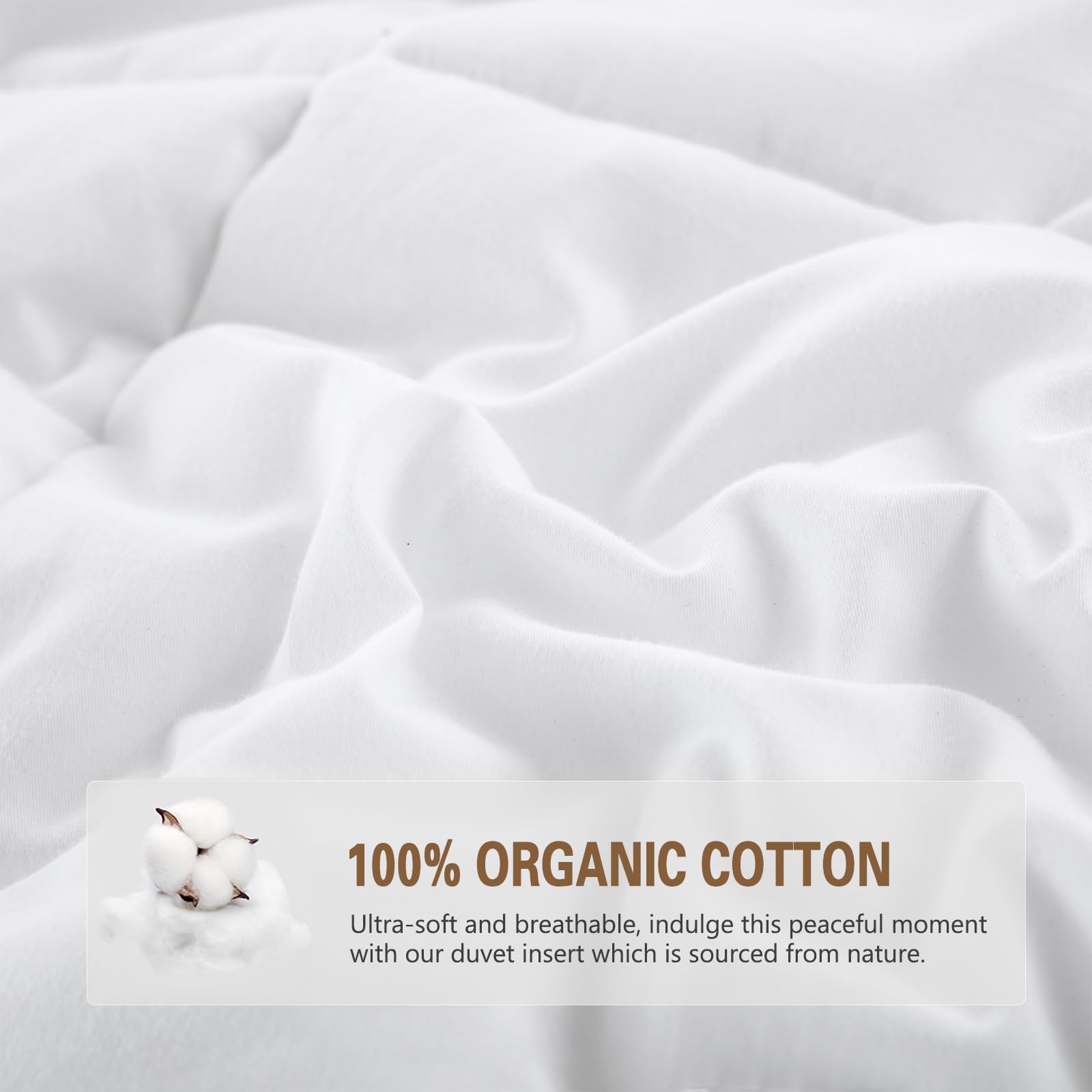 DWR Organic Cotton Feathers Down Duvet Insert King | All-Seasons Down Comforter | Ultra-Soft 750 Fill-Power Medium Warmth Hotel-Style Comforter Insert with Ties (106x90 Inches, White)