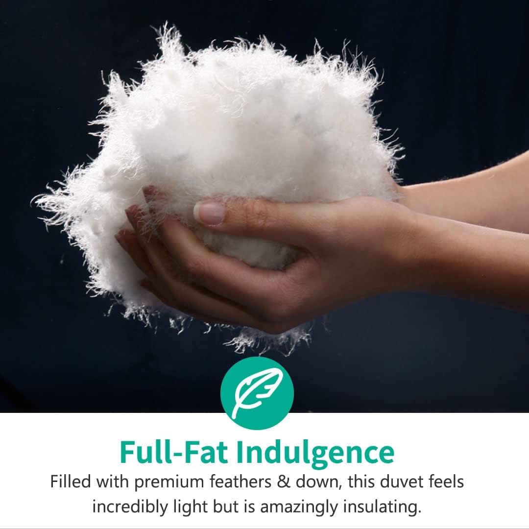 APSMILE Goose Feathers Down Comforter Queen Size, Hotel Collection All Season Duvet Insert, 750 Fill-Power, Ultra-Soft Fluffy Medium Warmth, Baffle Box Quilted with Corner Tabs (90x90, White)