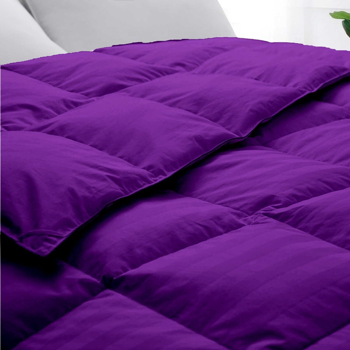 Premium 1000 Thread Count Alaskan King Size 1 Piece Comforter (500GSM Fiber Fill) Purple