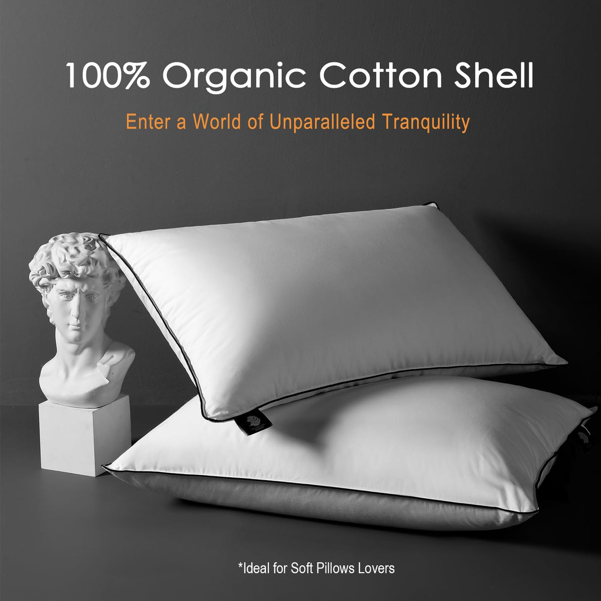 DWR Cloud-Like Luxury Feathers Down Pillows Set of 2, Soft & Fluffy Support with 100% Organic Cotton Cover, Ideal for Back & Stomach Sleepers – Not for Firm Pillow Lovers (20"x26")