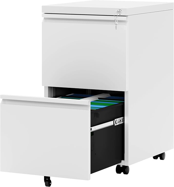 2 Drawer File Cabinet with Lock, 20” Deep Office Vertical Files, Mobile Metal Filing Cabinet