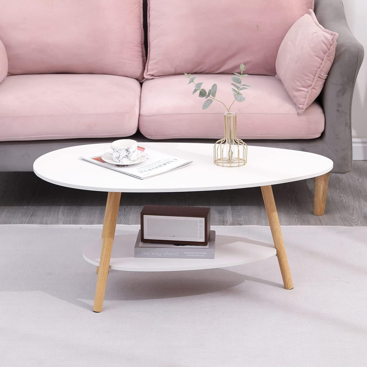 Oval Wood Coffee Table Modern Style Double Layer with Open Storage