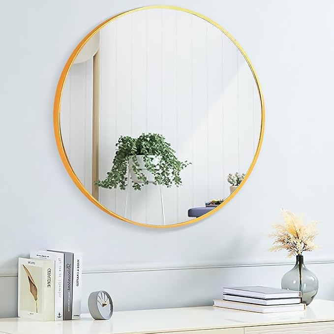 Mirror Rectangle Full Body Length Door Hanging Wall Mounted Metal Frame