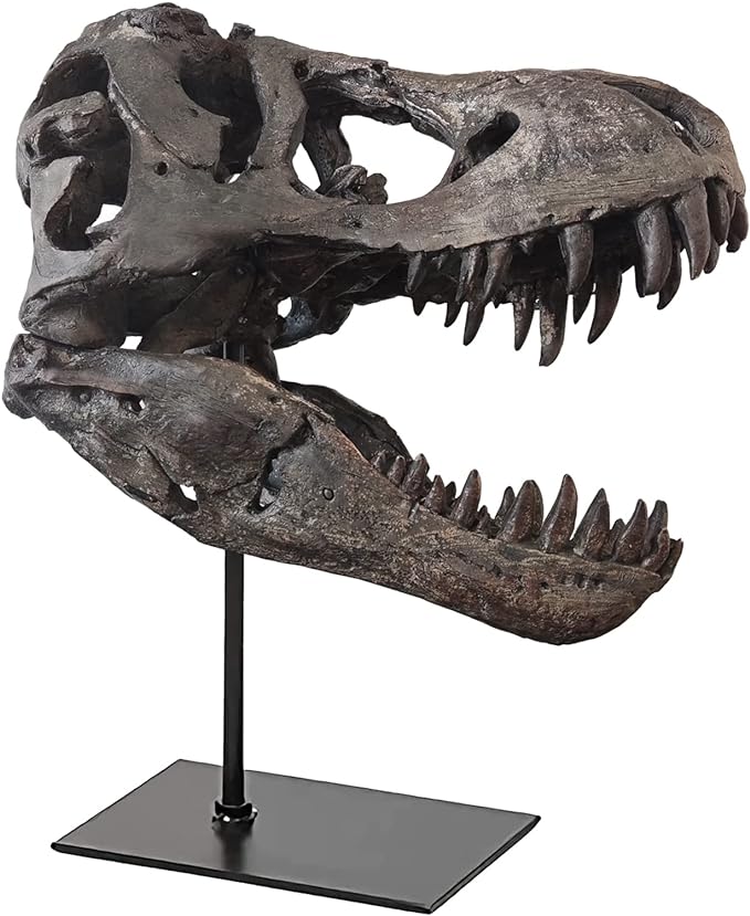 T Rex Skull, Dinosaur Bones Resin Replica Head Sculptures