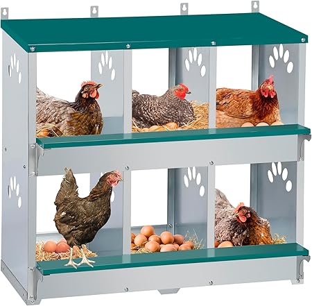 Chicken Nesting Box, 10 Compartment Nesting Box, 10 Room Metal Nesting Boxes