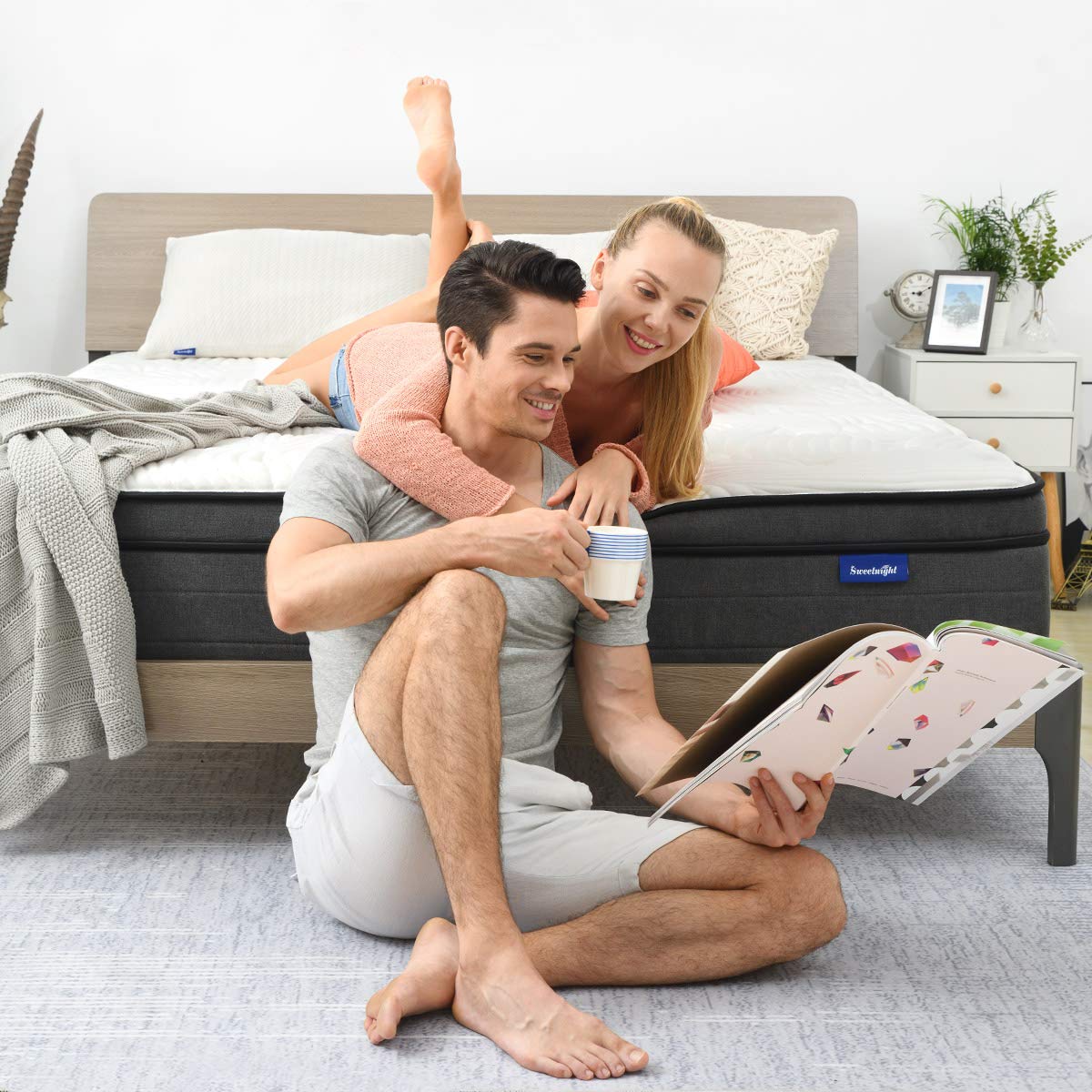 Queen Mattress in a Box - 12 Inch Plush Pillow Top Hybrid Mattress
