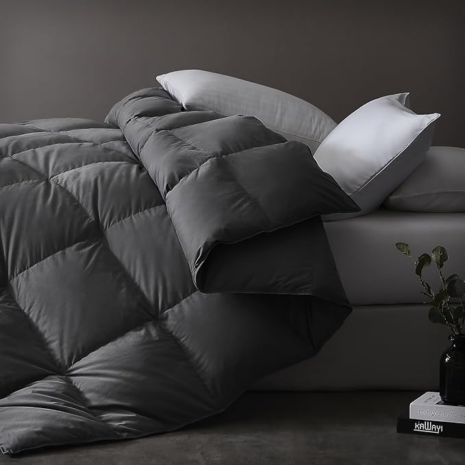 Luxurious Down Fiber Comforter with Premium Fabric, All Seasons Medium Warmth Duvet