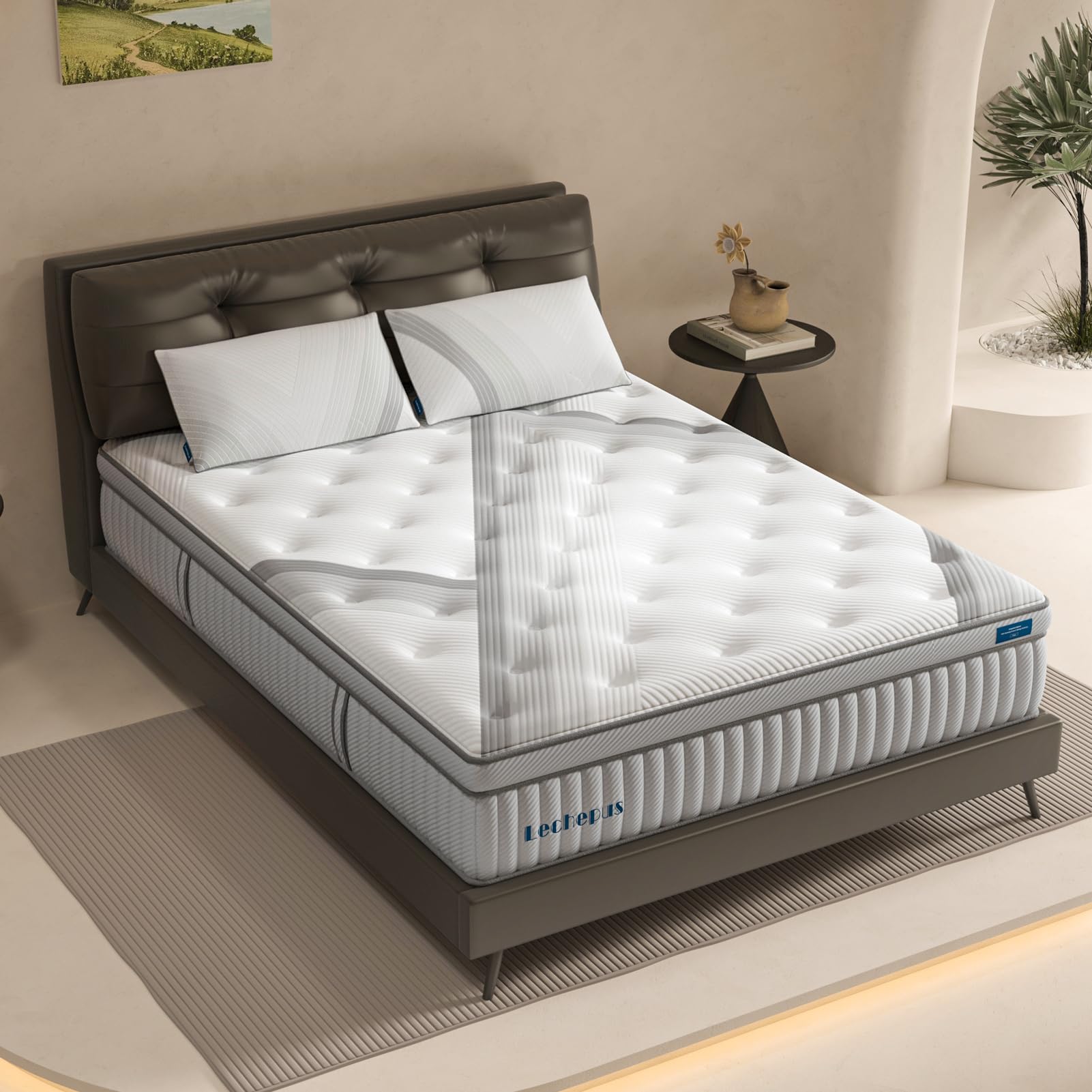 Queen Mattress, Lechepus 14Inch Medium Plush Queen Size Mattress
