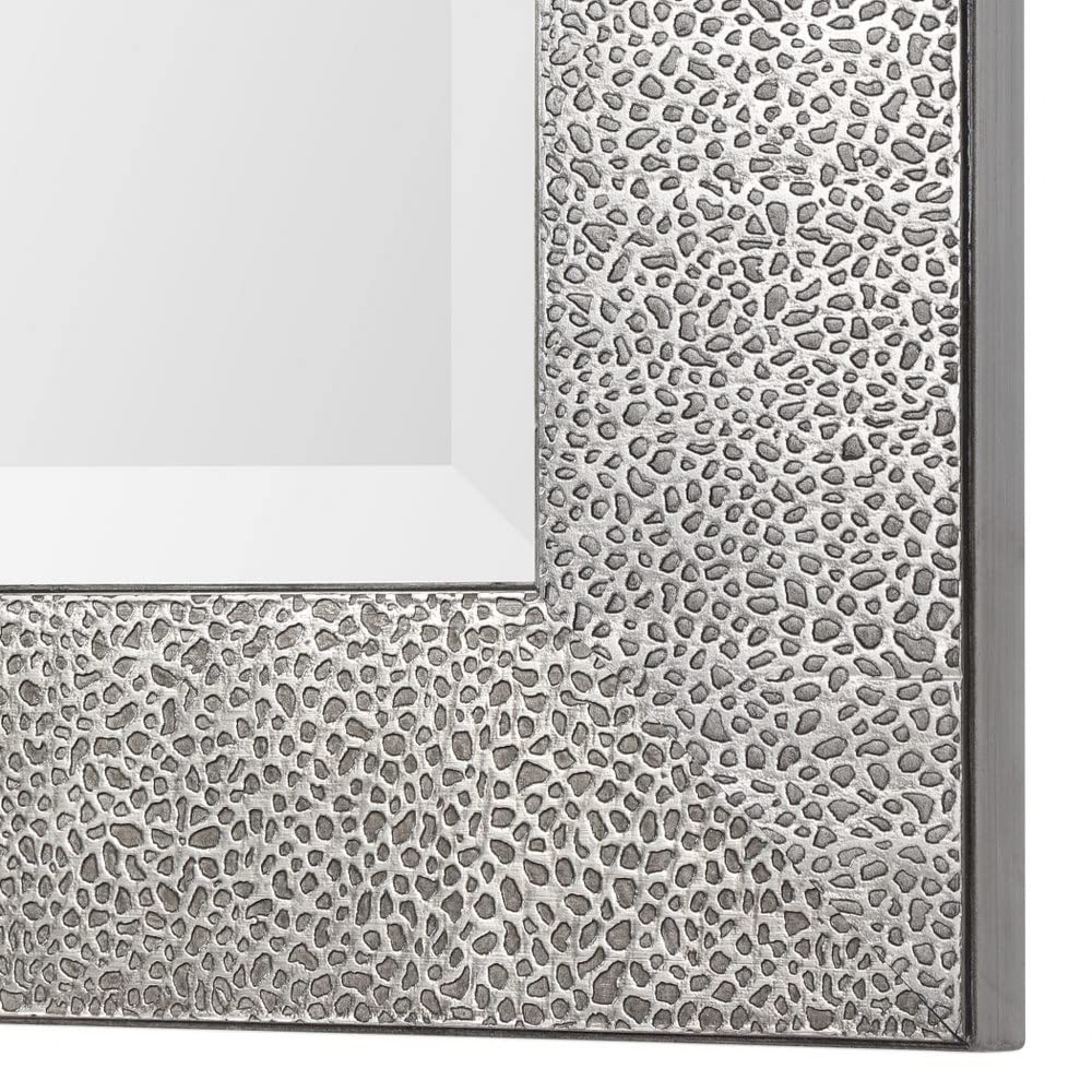 Uttermost Tulare - 48 Inch Mirror - 24 inches wide by 1 inches deep