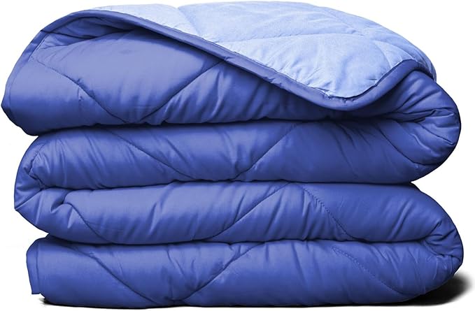 All Seasons Twin/Twin XL Down Alternative Reversible Quilted Comforter - Breathable T