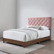 Tufted Upholstered Performance Velvet Queen Bed, Walnut Dusty Rose