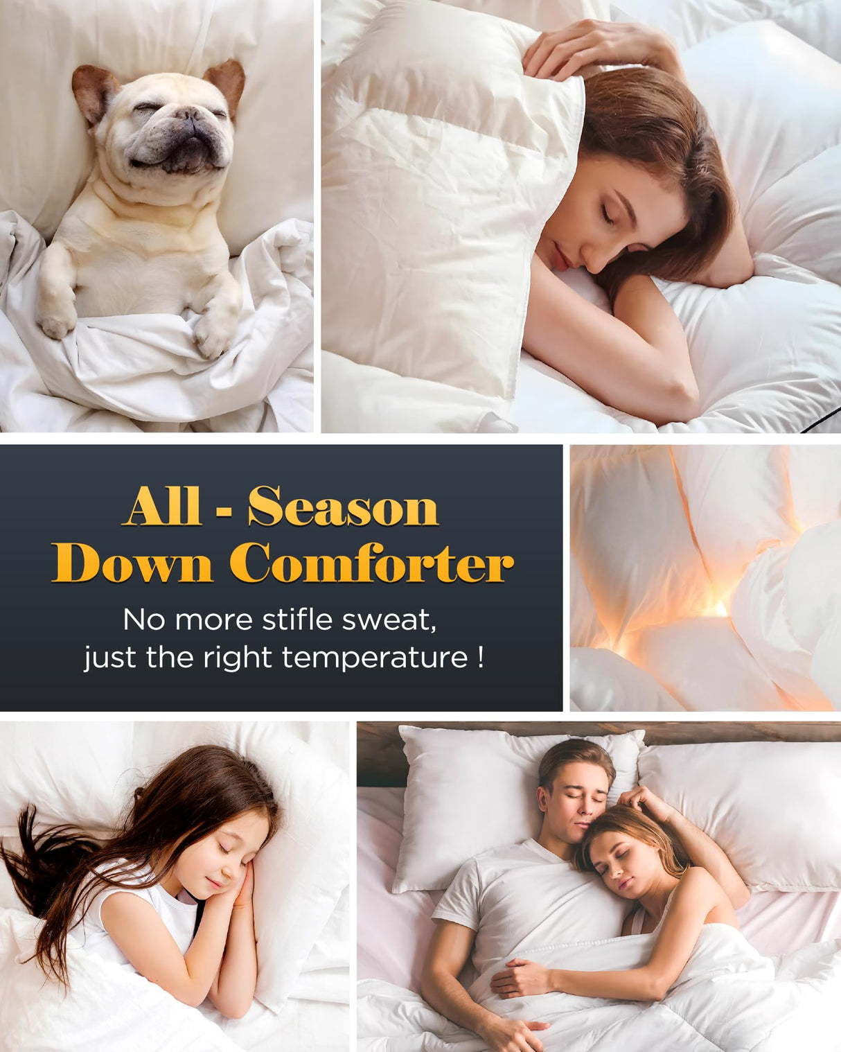 3D Baffle Box Real Down Comforter, 750 Fill-Power Ultra-Soft Down Duvet Insert, All Season White Feathers Down Twin Comforter, Medium Warm Bed Comforter, Fluffy and Cozy, 8 Corner Tabs - 68" X 90"