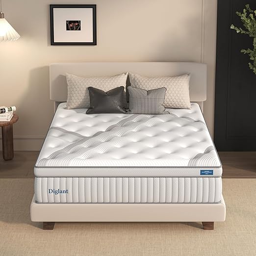 Queen Mattresses, 14 Inch Plush Hybrid Mattress