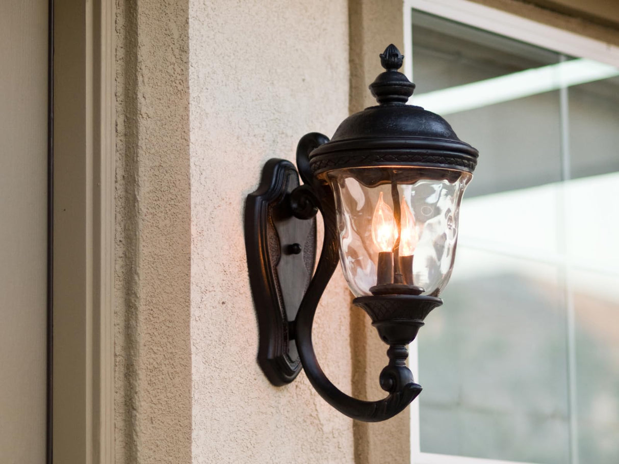 Lighting 40496WGOB Carriage Collection 20 Inch Two-Light Outdoor Wall