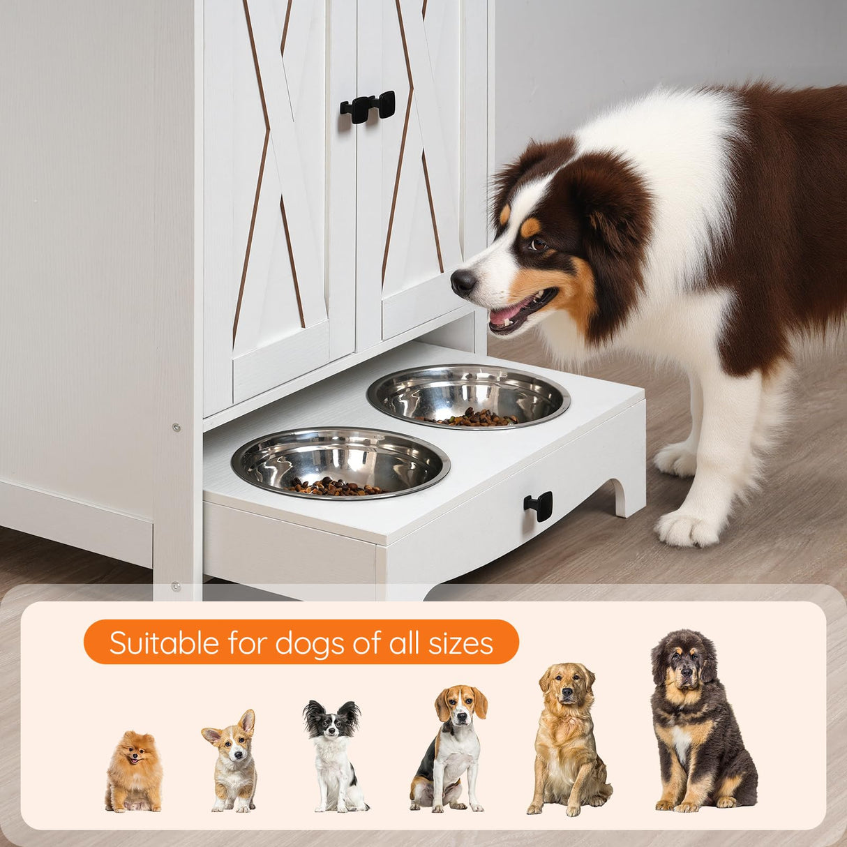 Elevated Dog Feeding Station with Storage Cabinet