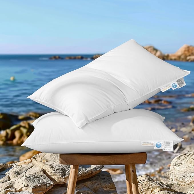 Luxury Goose Down Pillow Queen Size - 900 Fill Power, 600 TC Cotton Shell