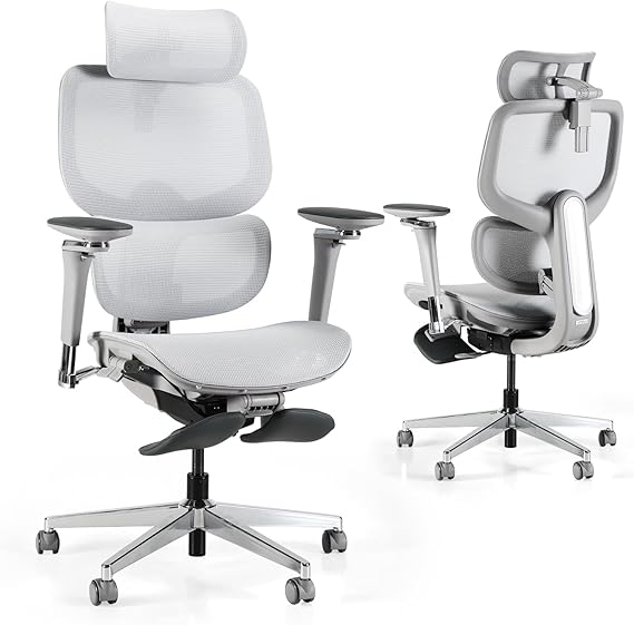 Ergonomic Office Chair with Footrest and Dynamic Lumbar Support