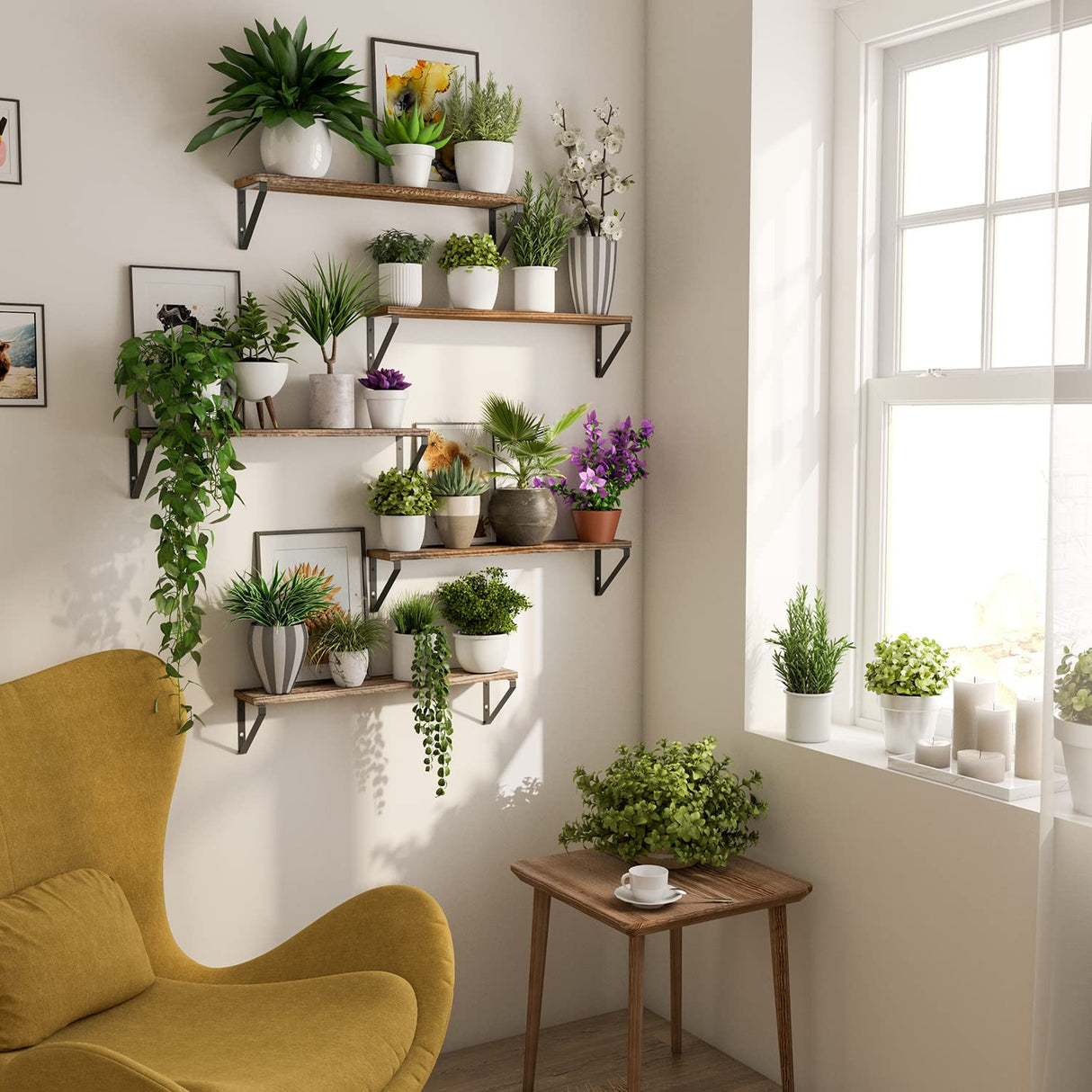 Ponza 24" Floating Bookshelf, Wood Floating Shelves for Wall Storage, Rustic Wall Shelves