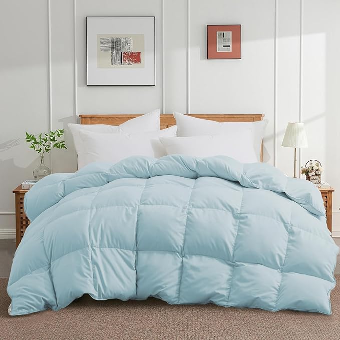 Queen Size Down Comforter - All Season Ultra Soft Goose Down & Feather Fiber Fill