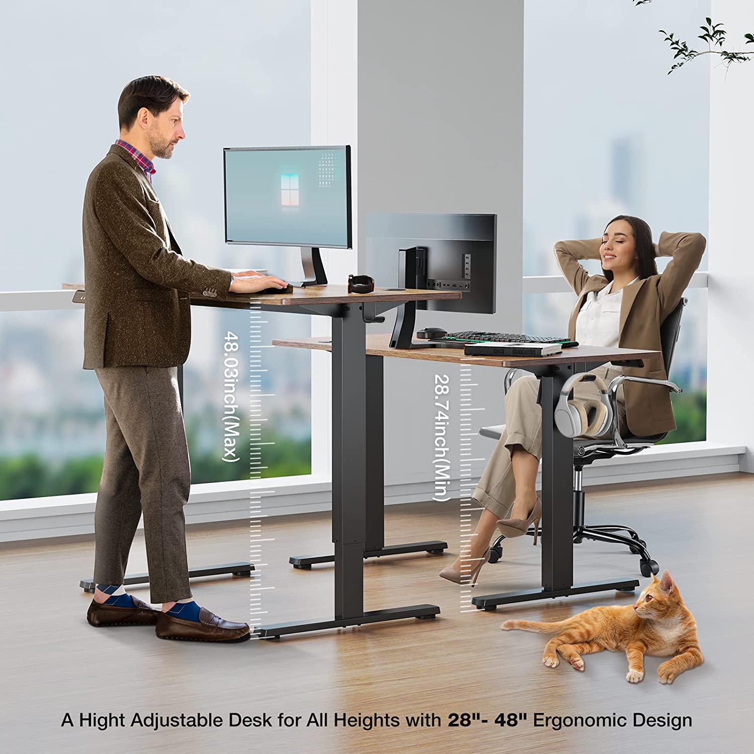 Standing Desk, 48 x 24 in Electric Height Adjustable Computer Desk for Home Office