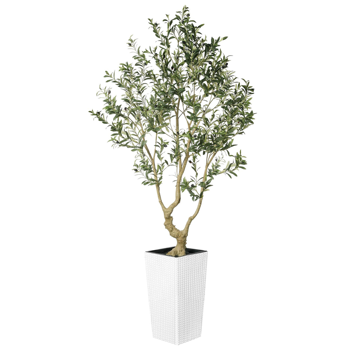Olive Tree 7 Feet - Olive Trees Artificial Indoor with White Tall and Large Planter