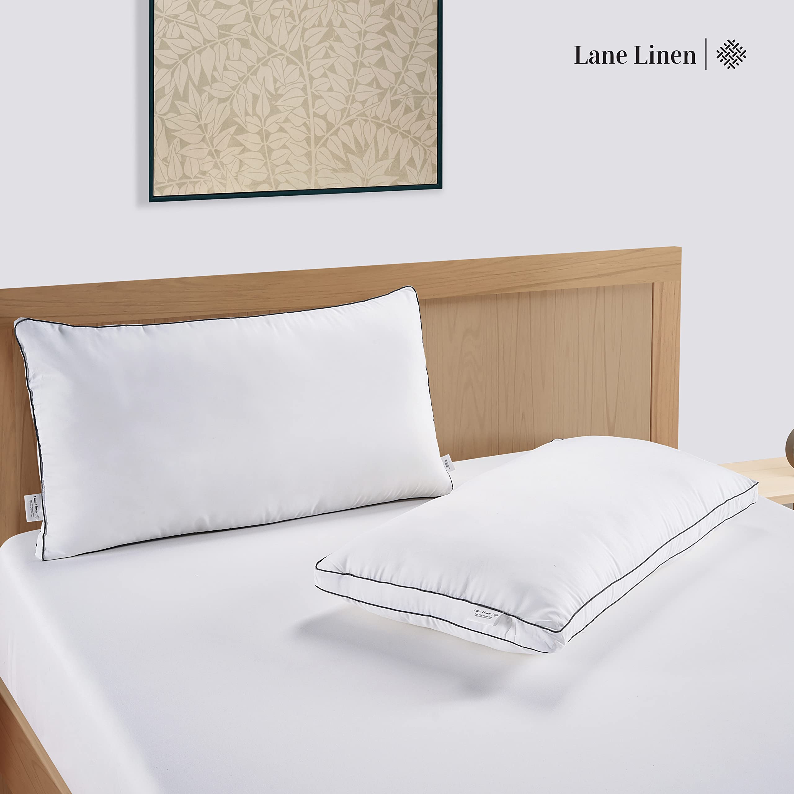Pillows Set of 2 (20"x26") - Soft Gusseted Pillow for Back