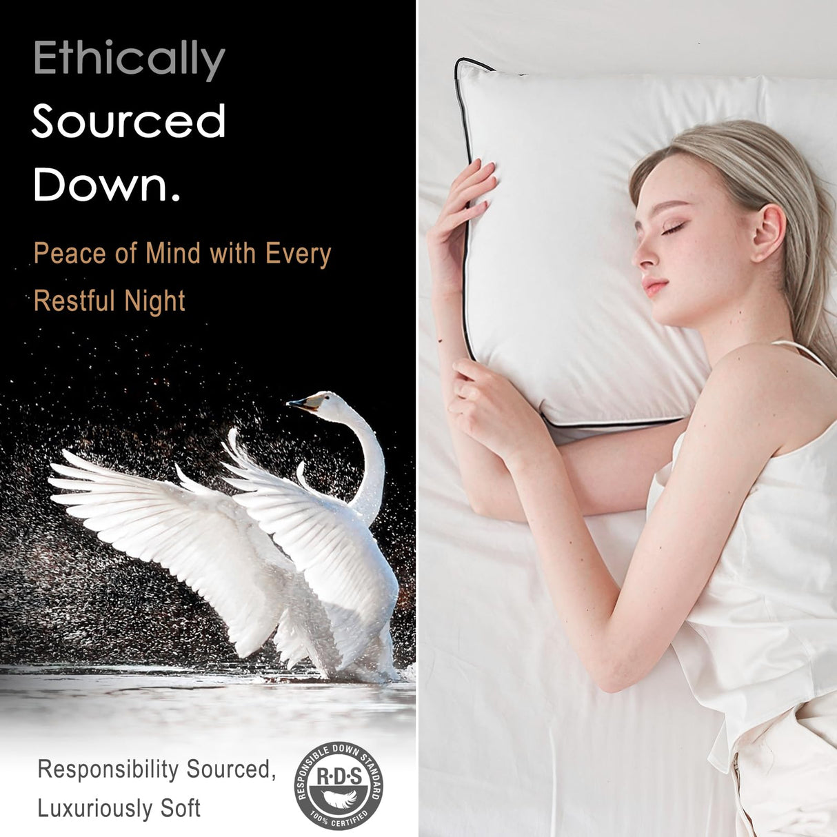 DWR Cloud-Like Luxury Feathers Down Pillows Set of 2, Soft & Fluffy Support with 100% Organic Cotton Cover, Ideal for Back & Stomach Sleepers – Not for Firm Pillow Lovers (20"x26")