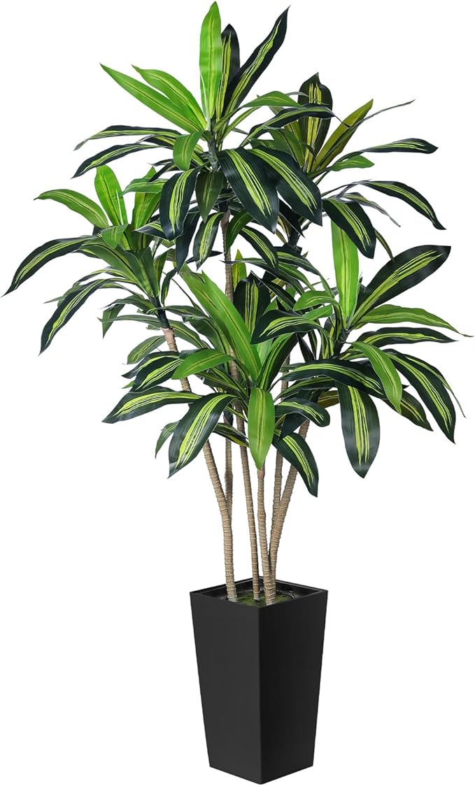 Artificial Dracaena Tree - 5.5FT Faux Tree with Black Tall Planter -Dracaena Artificial Plant for Modern