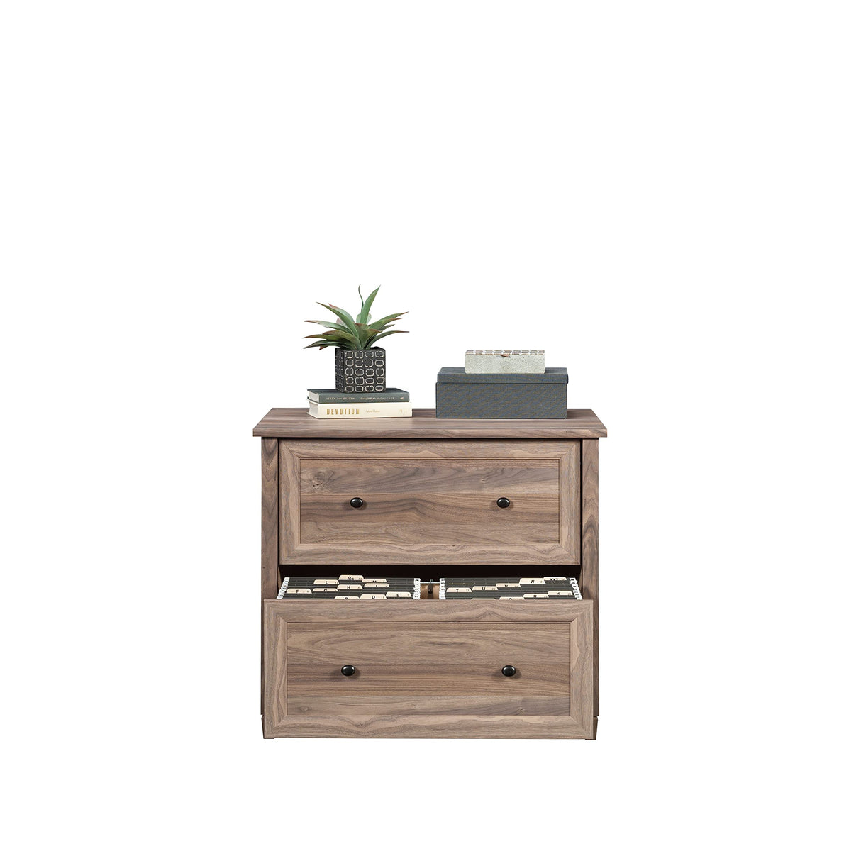 Edge Water 2 Drawer Lateral Filing Cabinet, Office File Cabinet, in Washed Walnut