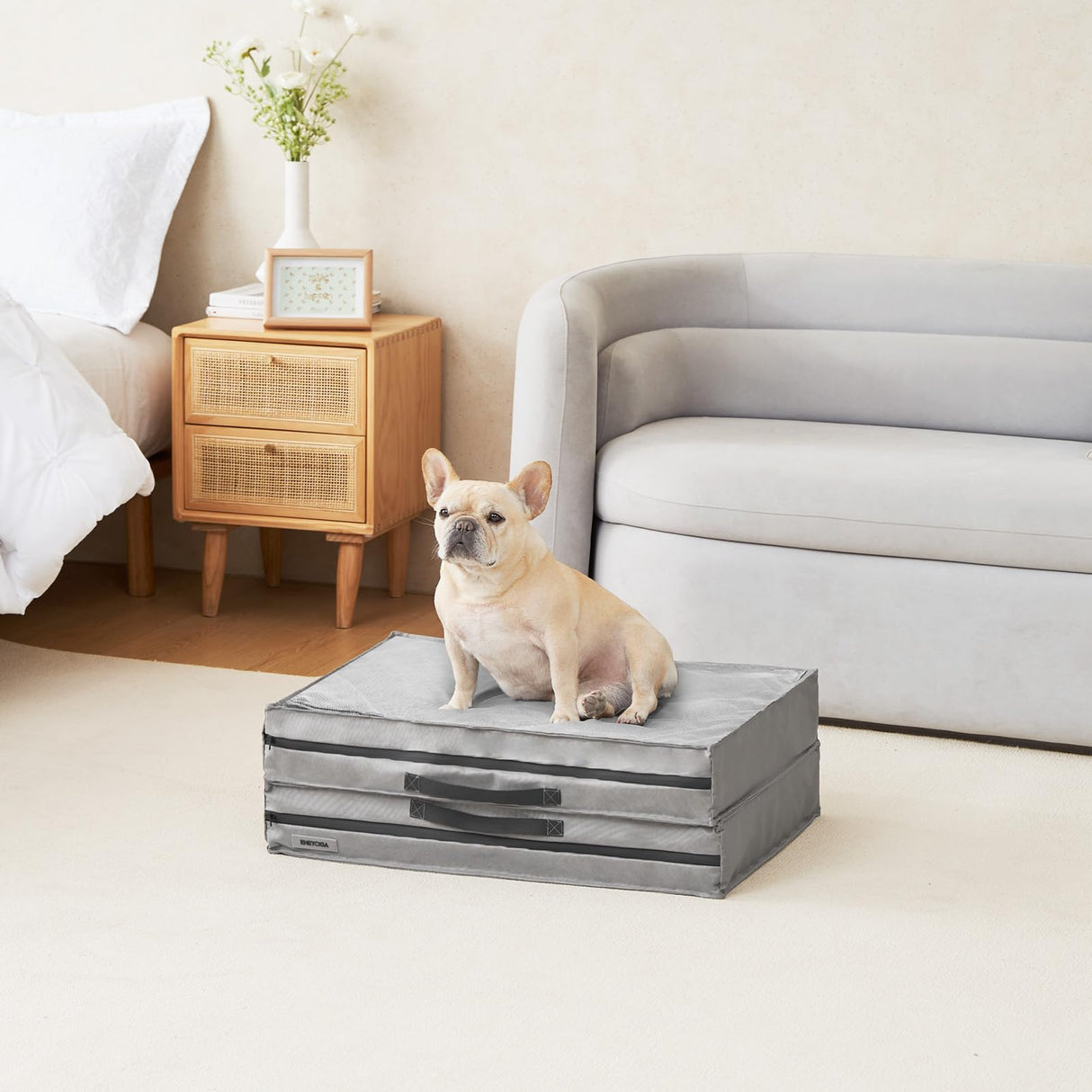 Foldable Waterproof Dog Beds for Medium Dogs