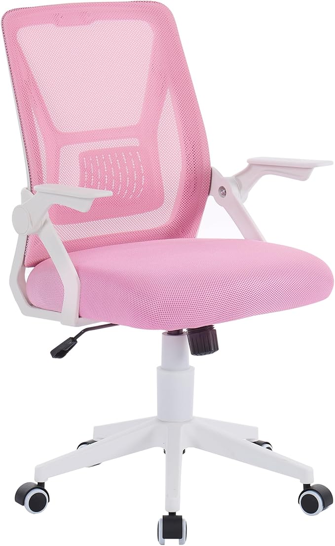 Office Computer Task Desk Chair, Low-Back, Pneumatic Seat, Breathable Mesh, Adjustable